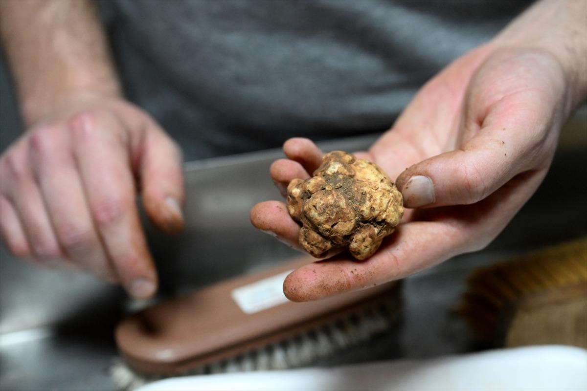 İtalya&rsquo;dan bu iş i&ccedil;in T&uuml;rkiye ye geldi: Euro &uuml;zerinden satılıyor! 5