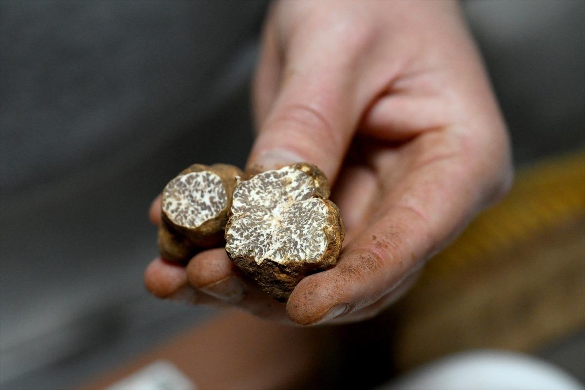 İtalya&rsquo;dan bu iş i&ccedil;in T&uuml;rkiye ye geldi: Euro &uuml;zerinden satılıyor! 7