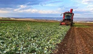 Bakan Yumaklı duyurdu: Bug&uuml;n 13 milyar TL yatırılacak!