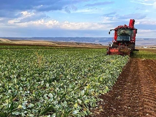 Bakan Yumaklı duyurdu: Bug&uuml;n 13 milyar TL yatırılacak!