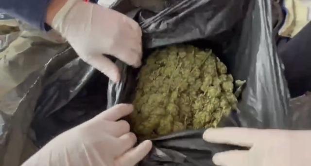 Jandarmadan uyuşturucu operasyonu: 1 tutuklama 1