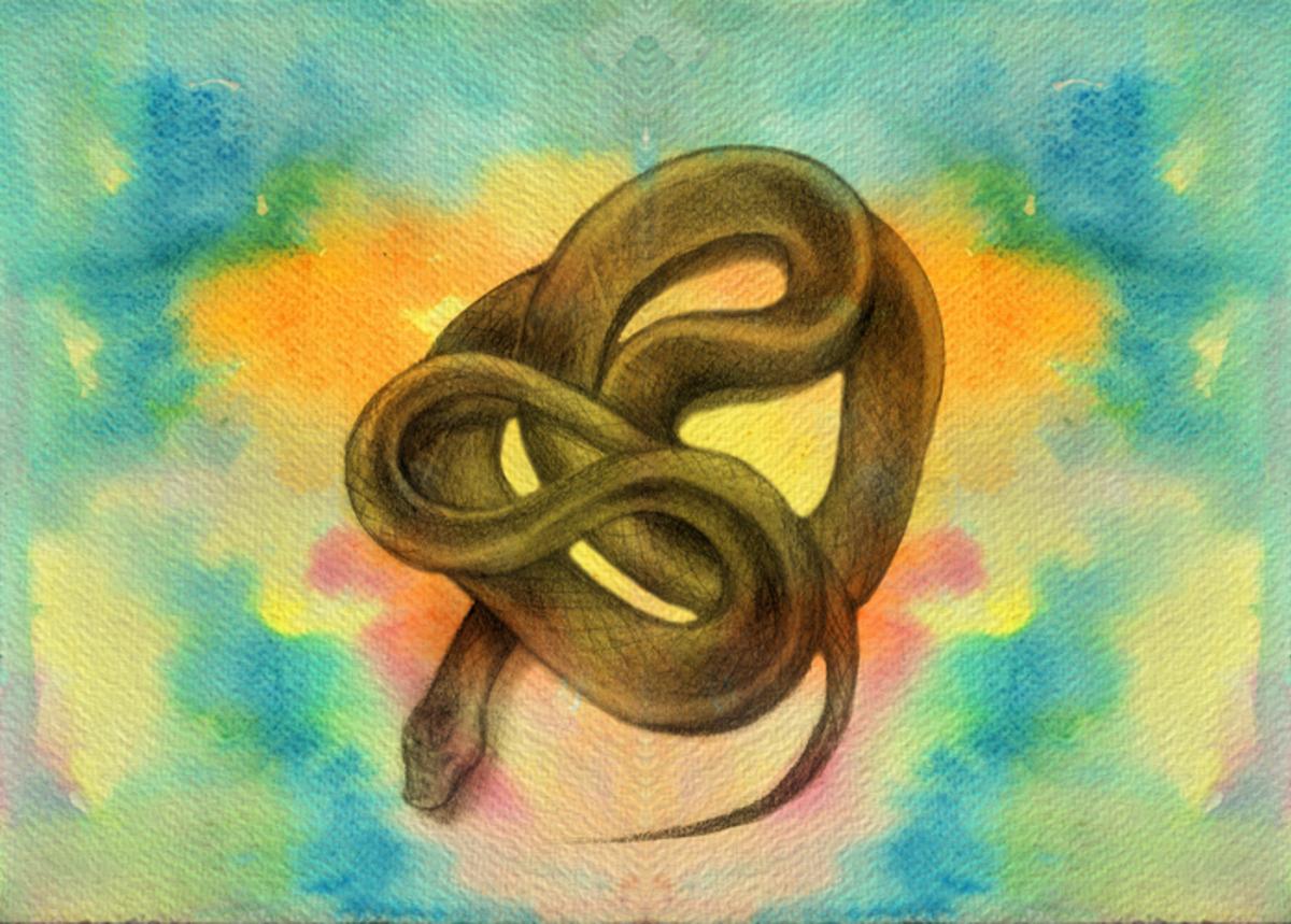 D&uuml;nyada en &ccedil;ok g&ouml;r&uuml;len r&uuml;ya belli oldu! Kimse bunu beklemiyordu 1