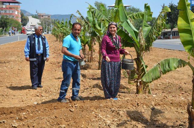 Kadın başkan yardımcısı, şalvar giyip fidan dikti