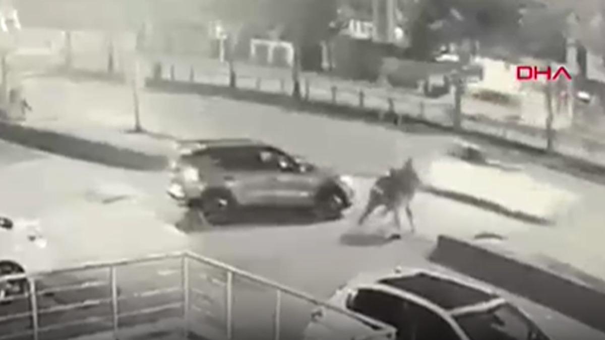 Aynı restoranda &ccedil;alıştığı mesai arkadaşını 9 bı&ccedil;ak darbesiyle &ouml;ld&uuml;rd&uuml; 1