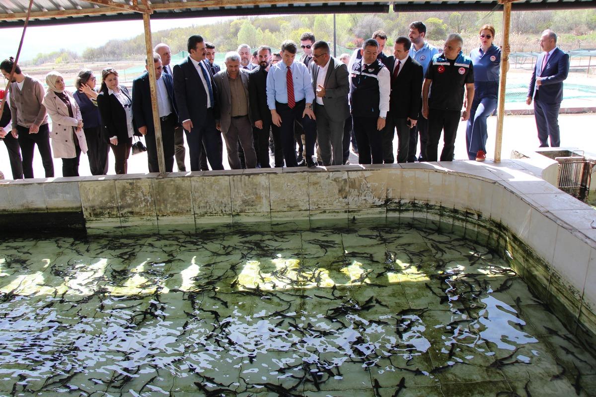 Bu balığın havyarı 2 bin dolardan satılıyor! &Ccedil;iple Karadeniz e bırakılacak  2