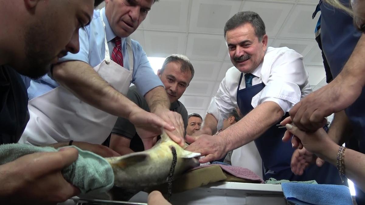 Bu balığın havyarı 2 bin dolardan satılıyor! &Ccedil;iple Karadeniz e bırakılacak  6