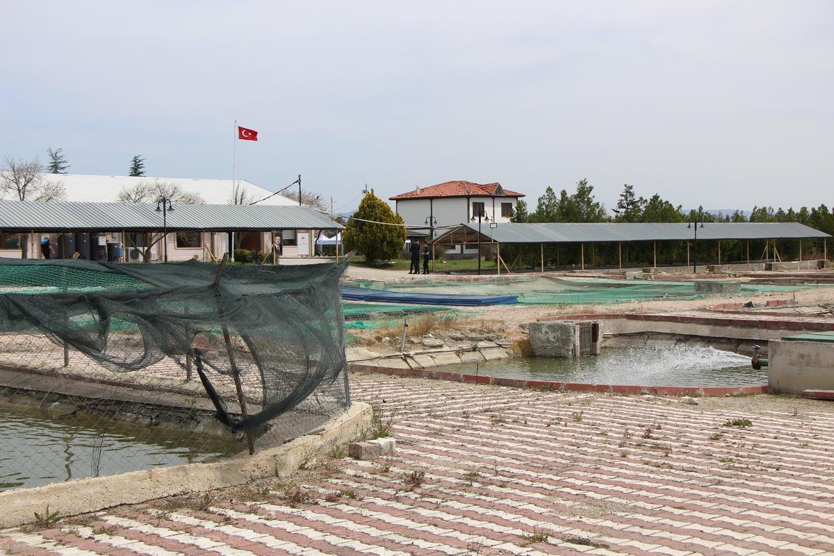 Bu balığın havyarı 2 bin dolardan satılıyor! &Ccedil;iple Karadeniz e bırakılacak  7