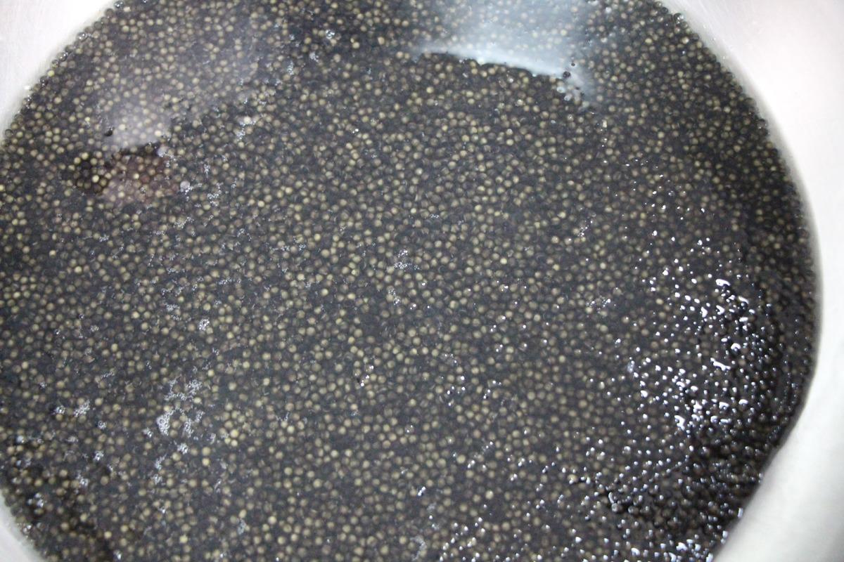 Bu balığın havyarı 2 bin dolardan satılıyor! &Ccedil;iple Karadeniz e bırakılacak  8