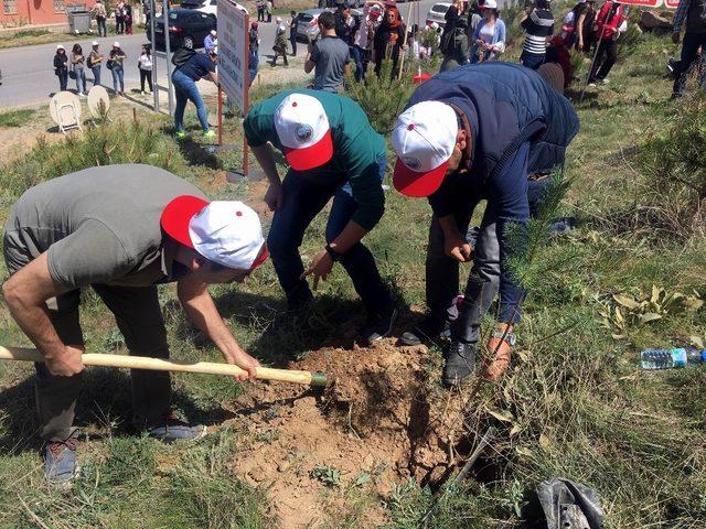 Şehitler anısına fidanlar toprak ile buluştu