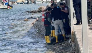 Fethiye K&ouml;rfezi&rsquo;nde erkek cesedi bulundu