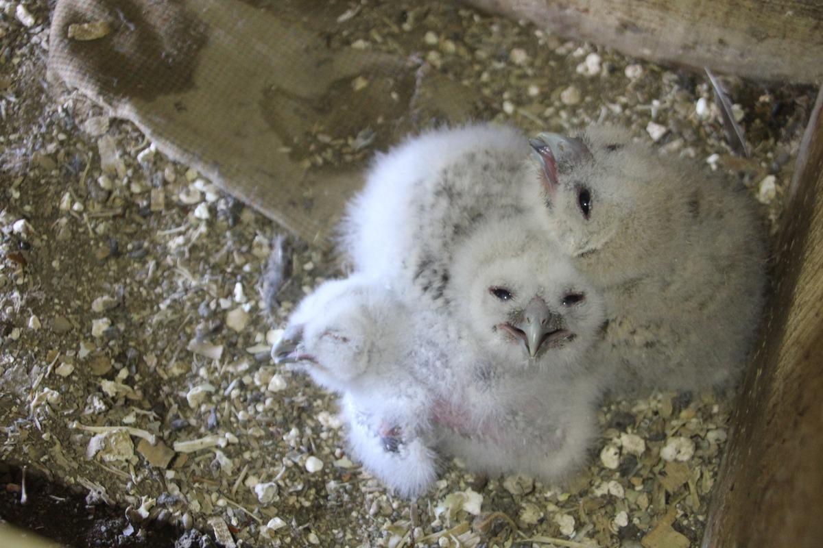 20 yıldır kapısına geliyorlar: "Uğursuz diyenler var &ccedil;ok ş&uuml;k&uuml;r bir şey olmadı" 2