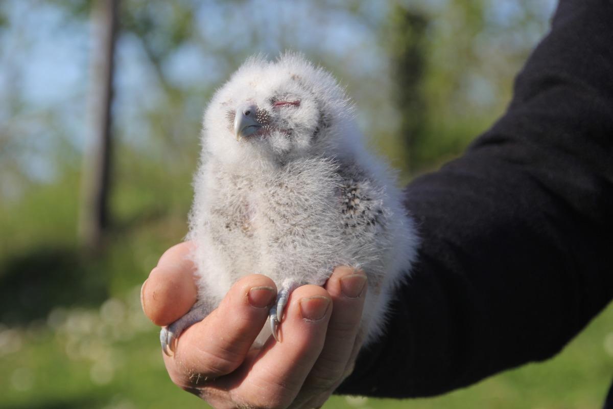 20 yıldır kapısına geliyorlar: "Uğursuz diyenler var &ccedil;ok ş&uuml;k&uuml;r bir şey olmadı" 3