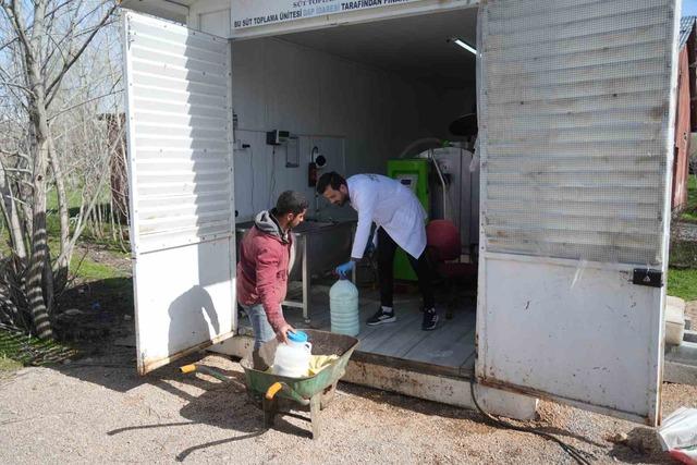 Muş&rsquo;ta &ccedil;iğ s&uuml;t soğuk zincir projesi hayata ge&ccedil;ti 3