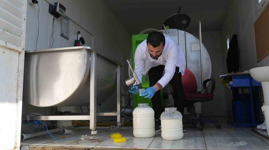 Muş&rsquo;ta &ccedil;iğ s&uuml;t soğuk zincir projesi hayata ge&ccedil;ti