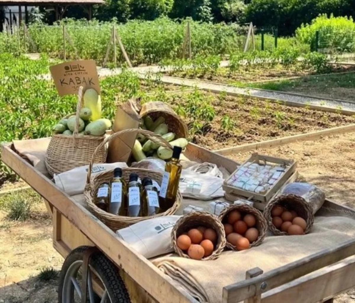 17 d&ouml;n&uuml;ml&uuml;k araziye kendi &ccedil;iftliğini kurdu! İlker Ayrık doğa ile i&ccedil; i&ccedil; bir yaşam s&uuml;r&uuml;yor  5