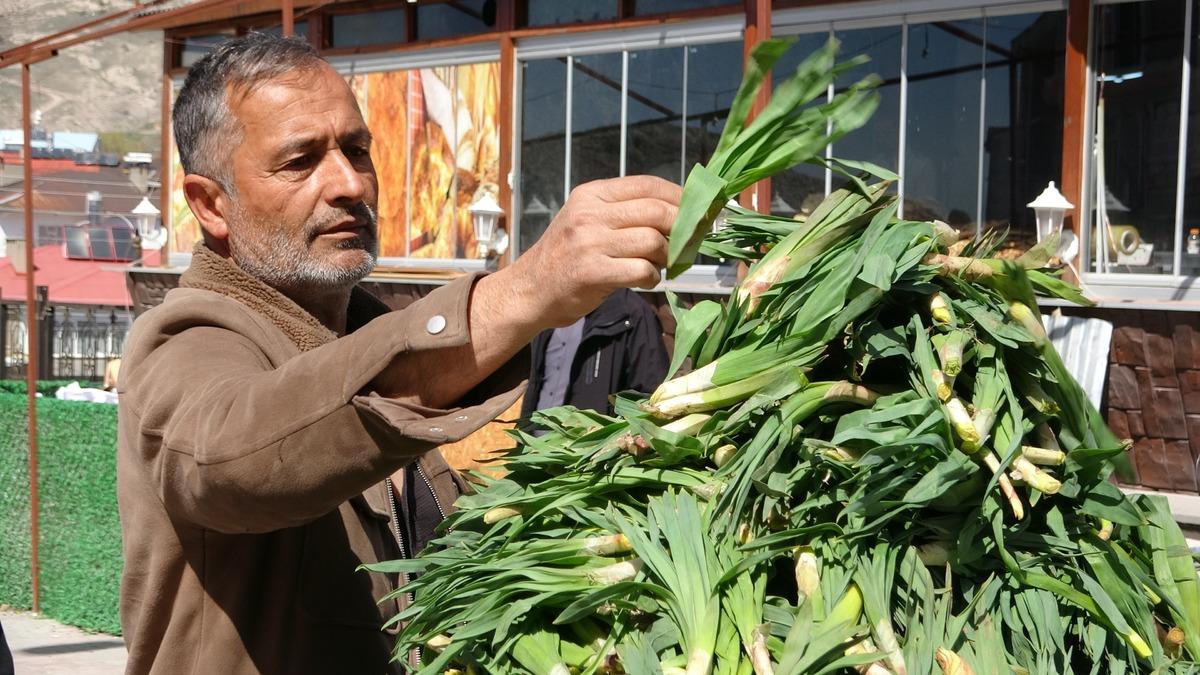 &Ccedil;iriş otu tezgahta 100 liradan kapış kapış gidiyor: Mideyi temizliyor 1