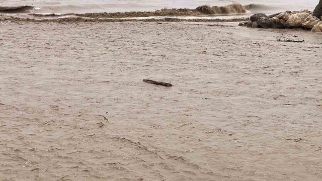 Yaylalardaki sel dereleri coşturdu, Akdeniz&rsquo;i kahverengiye b&uuml;r&uuml;d&uuml; 5