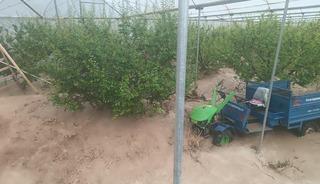 Mersin'de sağanak sele yol a&ccedil;tı: Yol &ccedil;&ouml;kt&uuml;, seralar zarar g&ouml;rd&uuml;