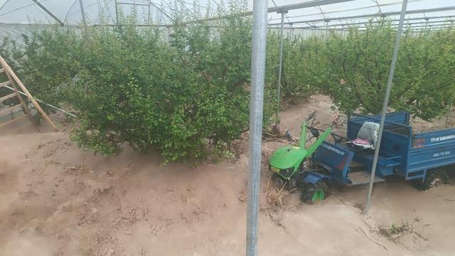 Mersin'de sağanak sele yol açtı: Yol çöktü, seralar zarar gördü