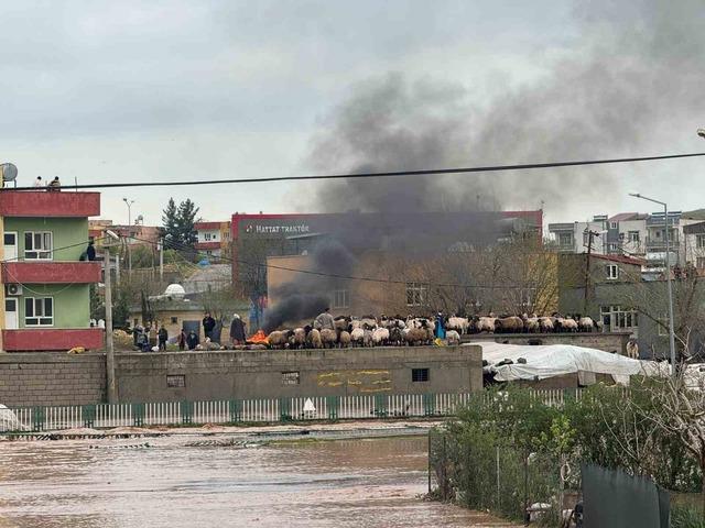 Siirt&rsquo;te gece yağışı sele d&ouml;n&uuml;şt&uuml;, ev ve iş yerlerini su bastı 1