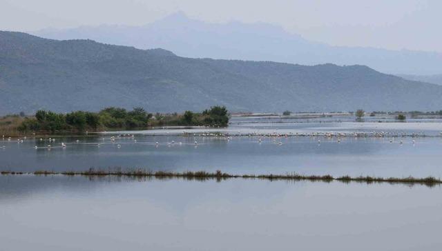 Su altında kalan arazilerde flamingolar g&ouml;rsel ş&ouml;len oluşturdu 8
