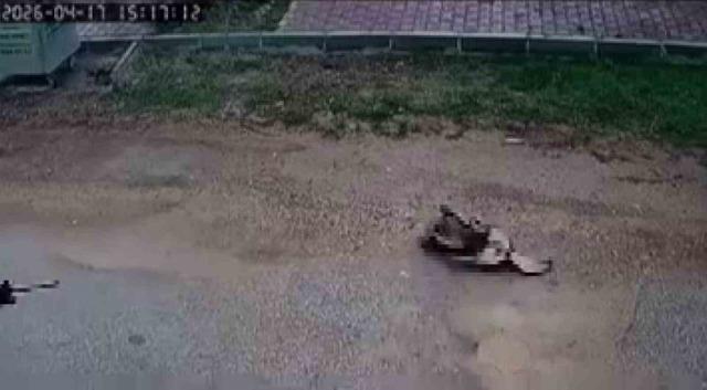 Kavga eden sokak k&ouml;peklerine ateş etti! Bir k&ouml;pek &ouml;ld&uuml; 2