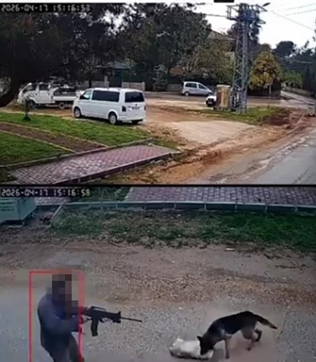 Kavga eden sokak k&ouml;peklerine ateş etti! Bir k&ouml;pek &ouml;ld&uuml; 5