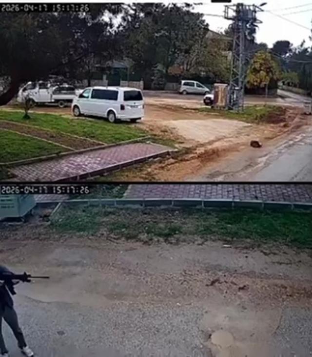 Kavga eden sokak k&ouml;peklerine ateş etti! Bir k&ouml;pek &ouml;ld&uuml; 6