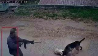 Kavga eden sokak k&ouml;peklerine ateş etti! Bir k&ouml;pek &ouml;ld&uuml;