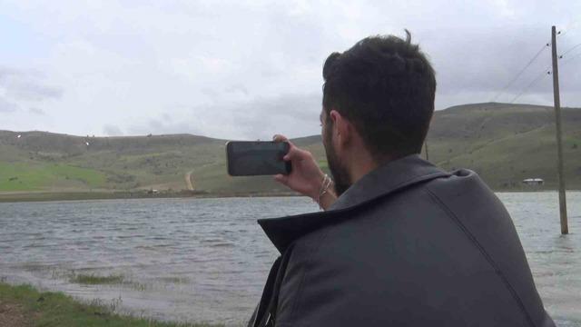 G&ouml;&ccedil;men kuşların uğrak mekanı, son yağışlarla doldu taştı 6