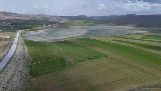 G&ouml;&ccedil;men kuşların uğrak mekanı, son yağışlarla doldu taştı 5