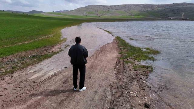 G&ouml;&ccedil;men kuşların uğrak mekanı, son yağışlarla doldu taştı 4