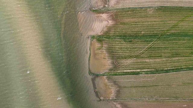 G&ouml;&ccedil;men kuşların uğrak mekanı, son yağışlarla doldu taştı 2