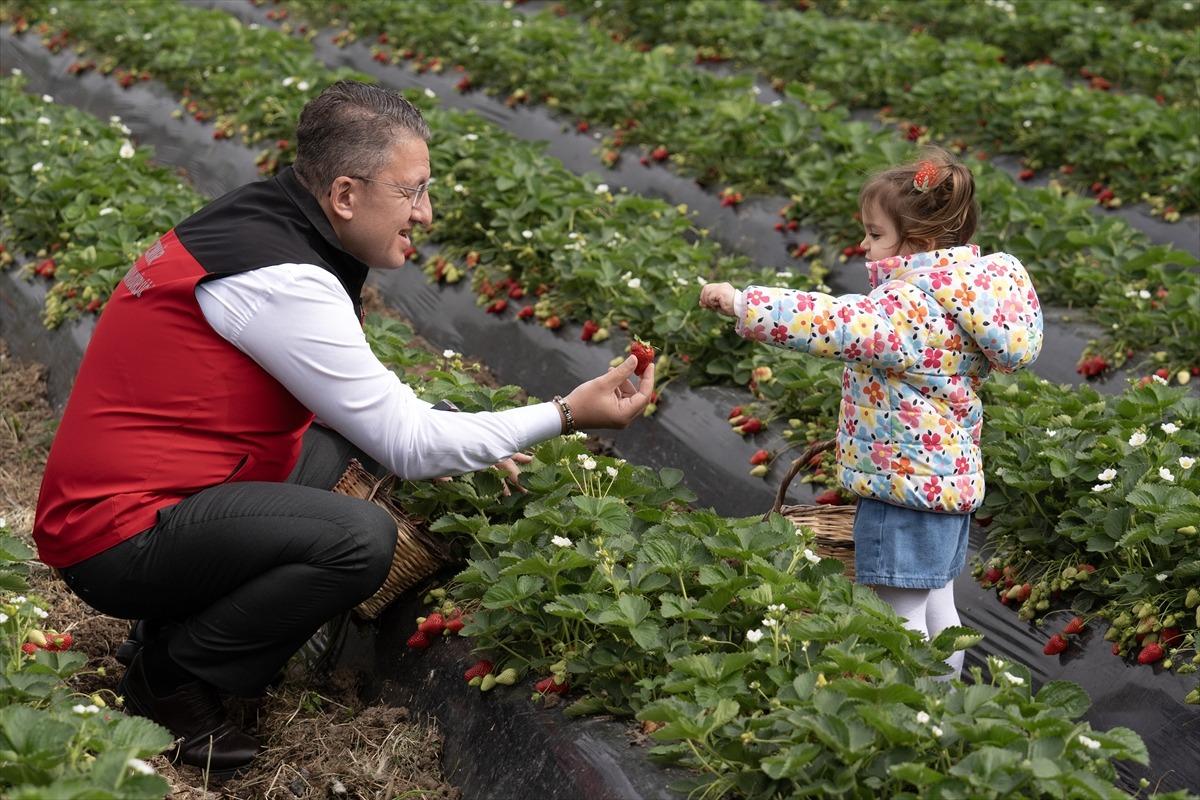 15 g&uuml;n gecikti, verim arttı  Kazandırıyor, 120 TL ye satıyoruz, kurtarıyor   9