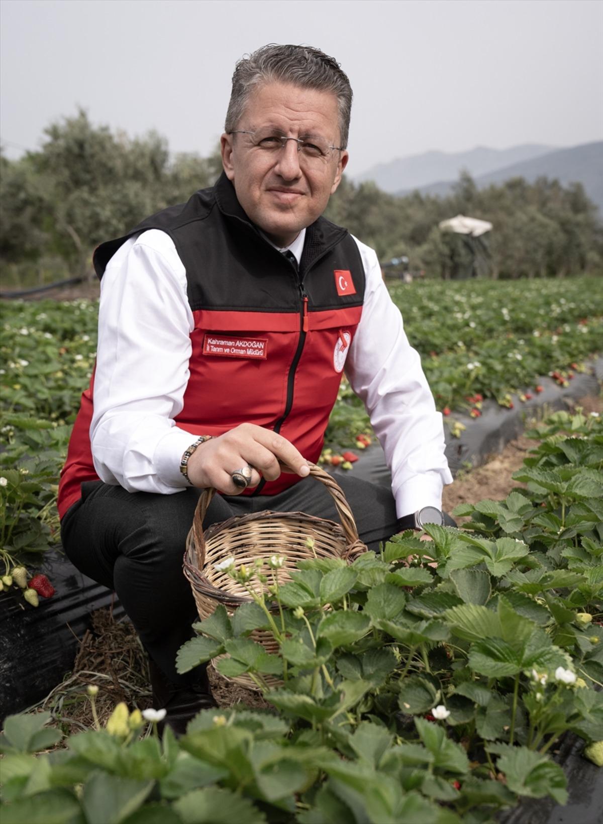15 g&uuml;n gecikti, verim arttı  Kazandırıyor, 120 TL ye satıyoruz, kurtarıyor   10