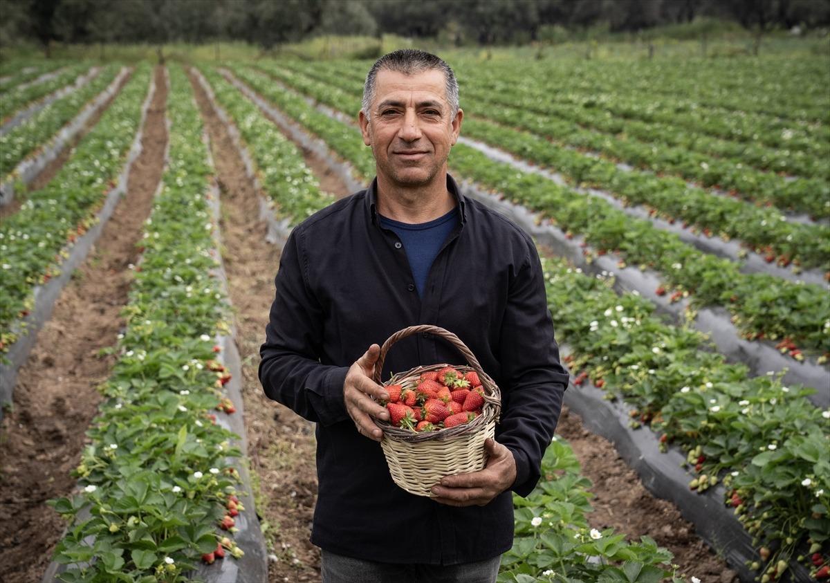 15 g&uuml;n gecikti, verim arttı  Kazandırıyor, 120 TL ye satıyoruz, kurtarıyor   13