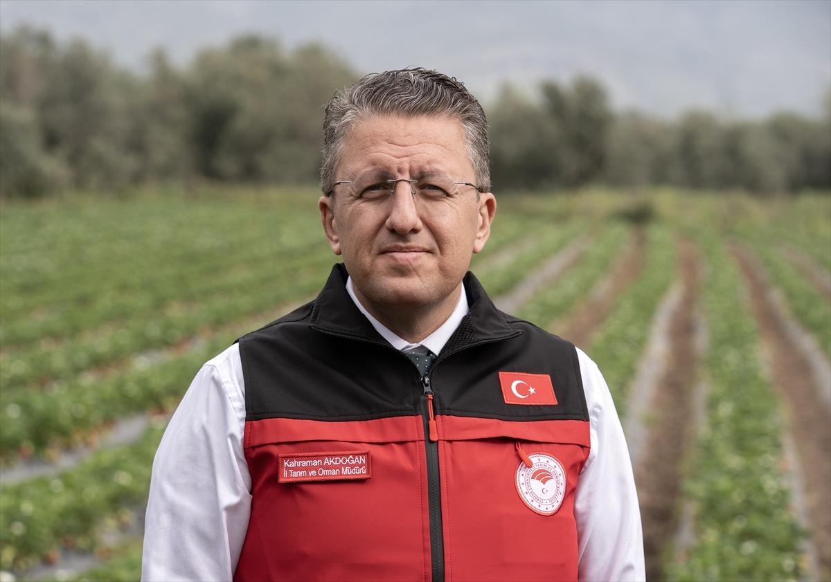 15 g&uuml;n gecikti, verim arttı  Kazandırıyor, 120 TL ye satıyoruz, kurtarıyor   15