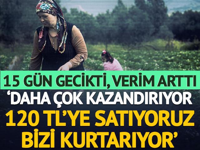 15 g&uuml;n gecikti, verim arttı 'Kazandırıyor, 120 TL'ye satıyoruz, kurtarıyor' 