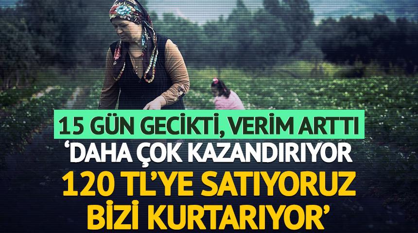 15 g&uuml;n gecikti, verim arttı 'Kazandırıyor, 120 TL'ye satıyoruz, kurtarıyor' 