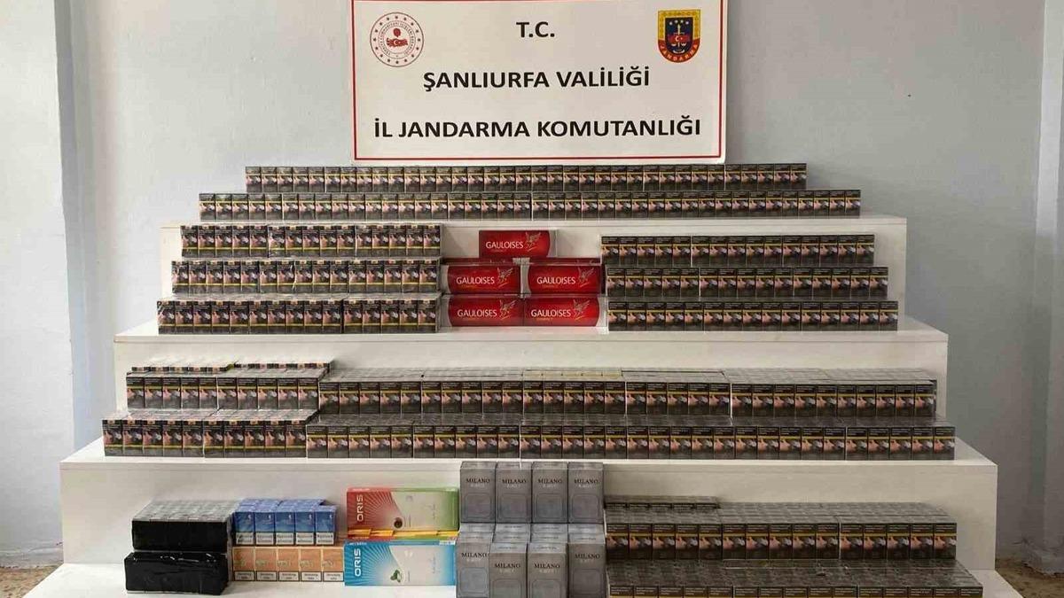 Viranşehir’de 4 bin 900 paket kaçak sigara ele geçirildi