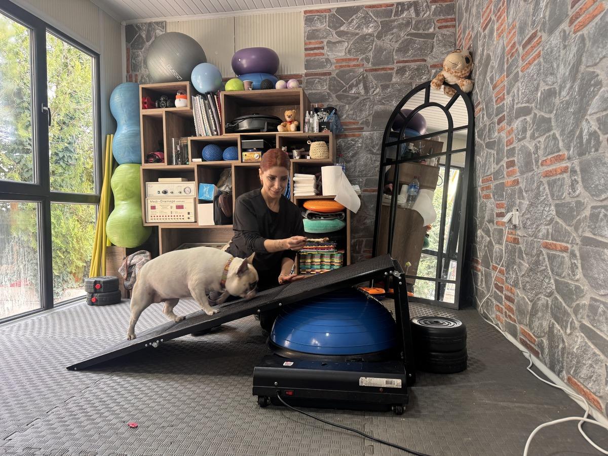 Koşu bandı, pilates, engel atlama&hellip; Obez k&ouml;pek Ori nin diyet programı 2