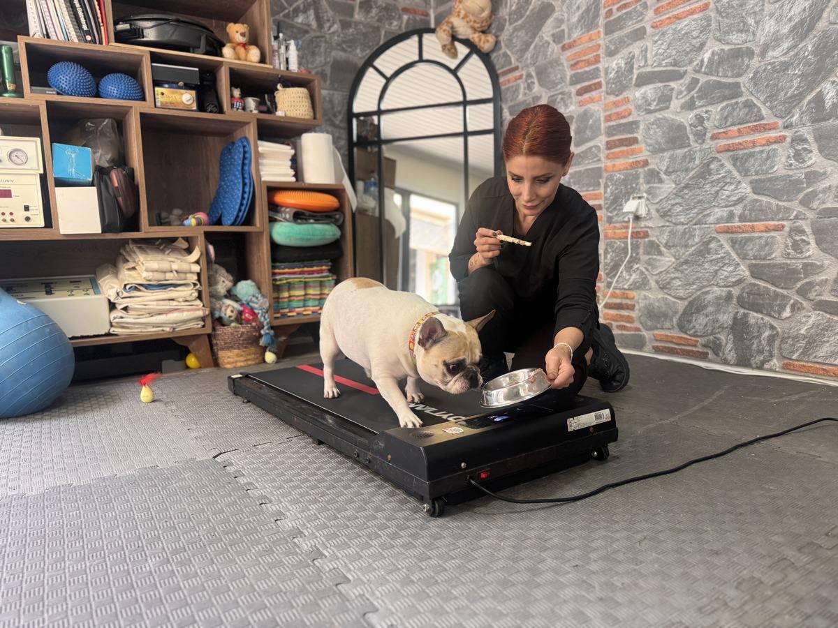 Koşu bandı, pilates, engel atlama&hellip; Obez k&ouml;pek Ori nin diyet programı 1