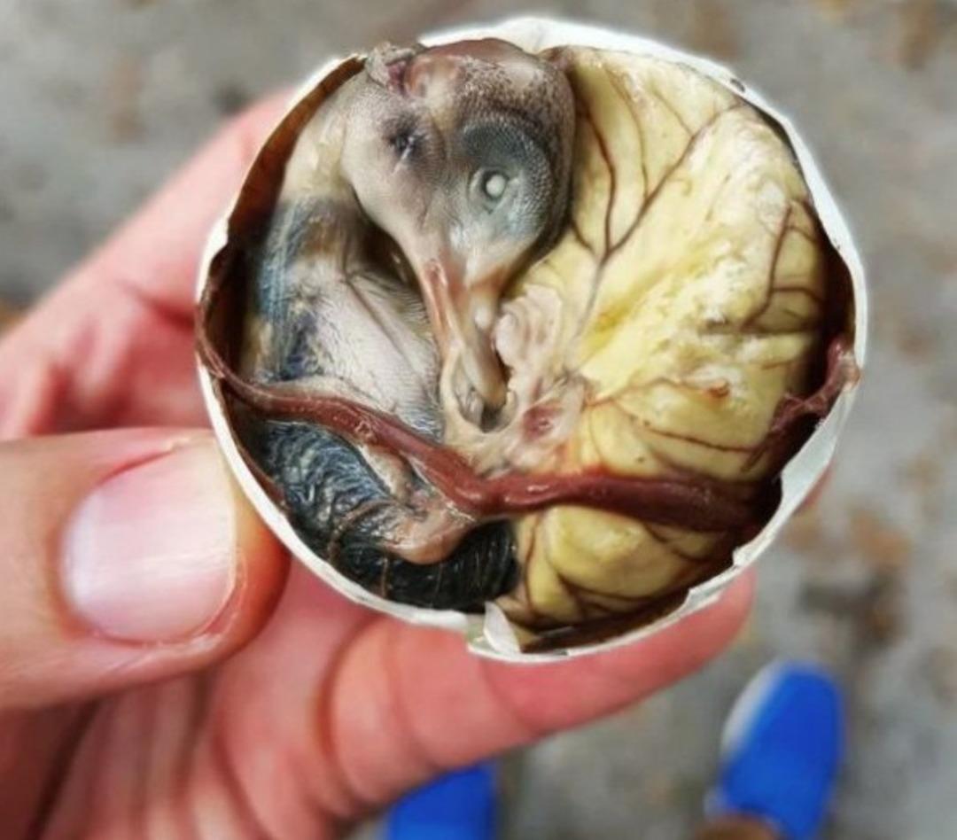 Bu yiyecekler beni yeme diyor adeta iştah ka&ccedil;ırıyor