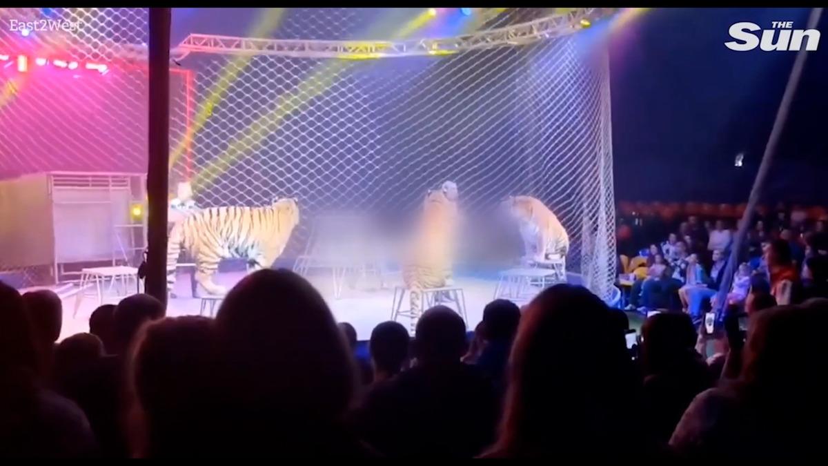 G&uuml;venlik ağı &ccedil;&ouml;kt&uuml;: Seyircilerinin arasına daldı! Dehşet anları saniye saniye kameralara yansıdı 1