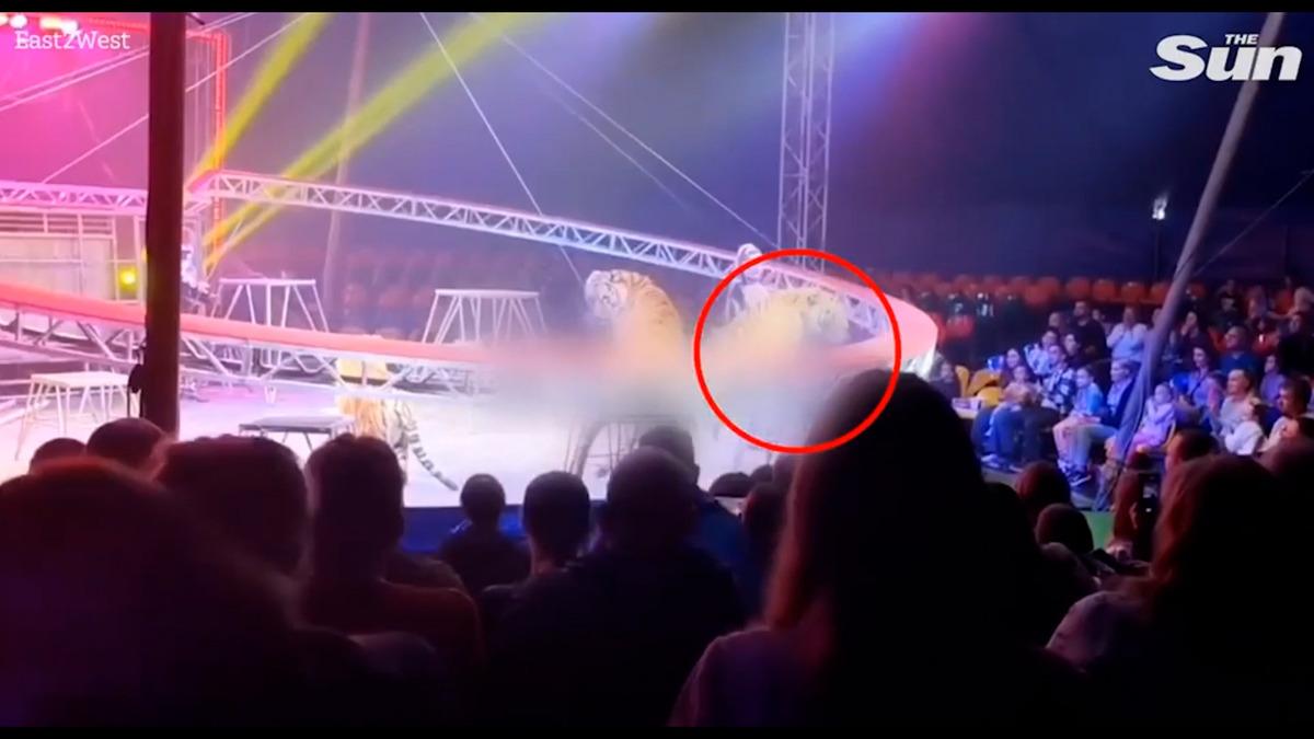 G&uuml;venlik ağı &ccedil;&ouml;kt&uuml;: Seyircilerinin arasına daldı! Dehşet anları saniye saniye kameralara yansıdı 2