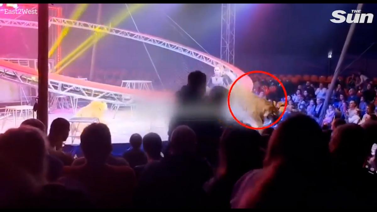 G&uuml;venlik ağı &ccedil;&ouml;kt&uuml;: Seyircilerinin arasına daldı! Dehşet anları saniye saniye kameralara yansıdı 3