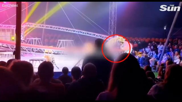 Güvenlik ağı çöktü: Seyircilerinin arasına daldı! Dehşet anları saniye saniye kameralara yansıdı