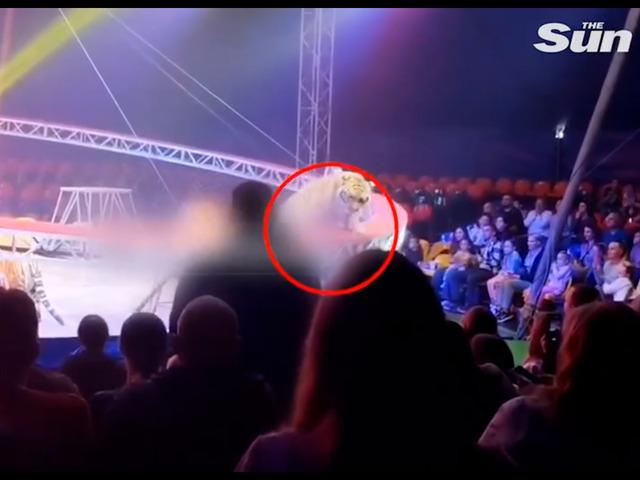 G&uuml;venlik ağı &ccedil;&ouml;kt&uuml;: Seyircilerinin arasına daldı!