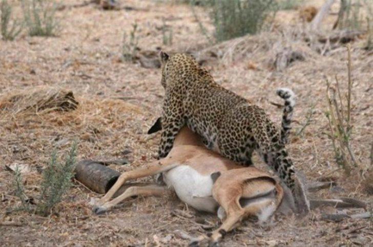 Onları bu halde buldular  G2