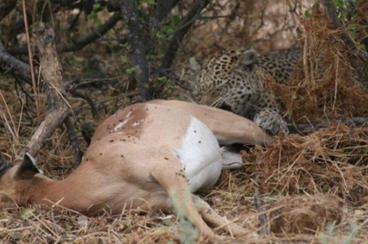 Onları bu halde buldular  G3